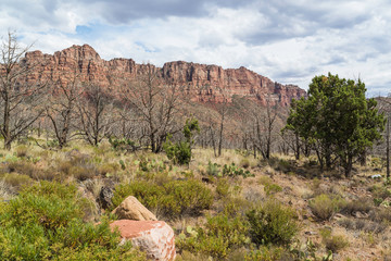 An overview of Kolob Canyon