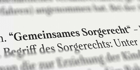 Gemeinsames Sorgerecht im Buch