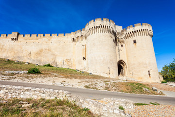 Fototapeta na wymiar Fort Saint Andre in Avignon