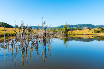 autumn landscape with lake