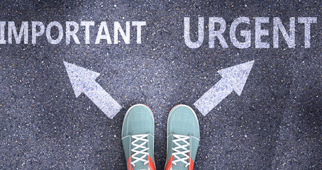 Important and urgent as different choices in life - pictured as words Important, urgent on a road to symbolize making decision and picking either Important or urgent as an option, 3d illustration