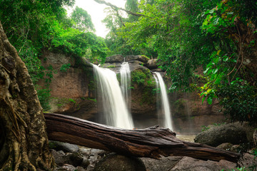 A terrific waterfall with severe water stream down from high cliff, surrounded by greenery rainforest jungle environment. Photo taken with long exposure for smoothed water line. 