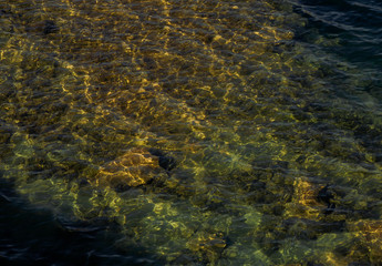 stones are visible through clear water