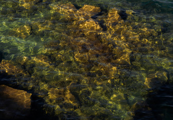 Fototapeta na wymiar stones are visible through clear water
