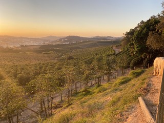 sunset in the mountains