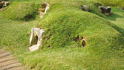 Rabbit house in the form of holes and mounds