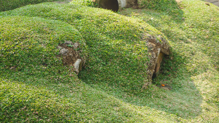Rabbit house in the form of holes and mounds