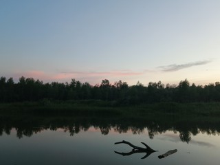 Naklejka premium twilight