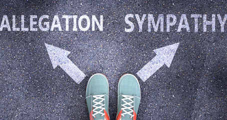 Allegation and sympathy as different choices in life - pictured as words Allegation, sympathy on a road to symbolize making decision and picking either one as an option, 3d illustration