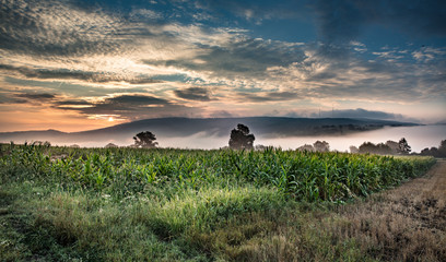 meißner © Klaus Haase 