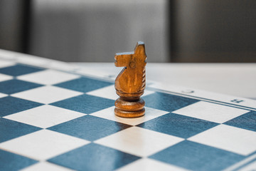 chessman knight on a chessboard