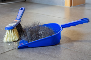 dustpan and brush with hair of a dog