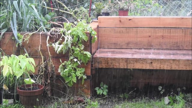 Starker Regen im Garten, Gartenbank wird beregnet, Wasser spritzt