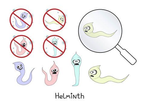 helminths, roundworms. intestinal parasites. warning sign parasitism , vector illustration. The concept of parasites in humans and humans