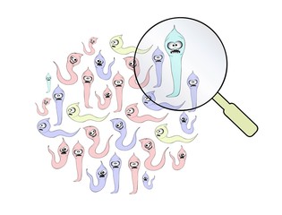 helminths, roundworms. intestinal parasites. warning sign parasitism , vector illustration