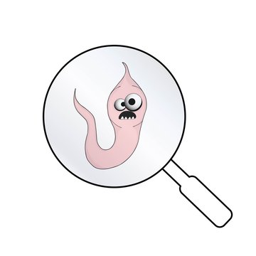 helminths, roundworms. intestinal parasites. warning sign parasitism , vector illustration. The concept of parasites in humans and humans