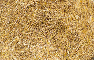 Close up of straw background texture.