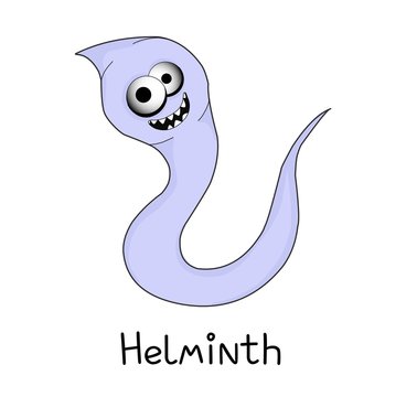 helminths, roundworms. intestinal parasites. warning sign parasitism , vector illustration. The concept of parasites in humans and humans.