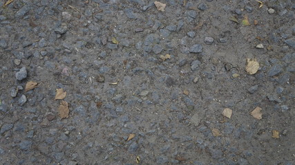 road texture