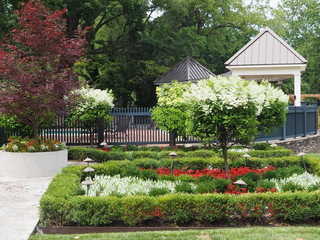 The Garden at the back of the house,