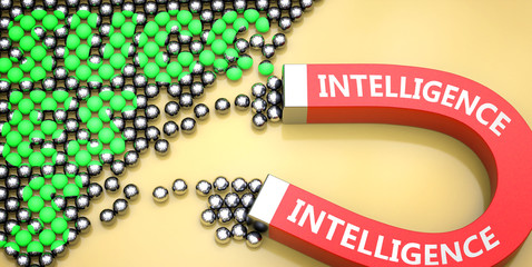 Intelligence attracts success - pictured as word Intelligence on a magnet to symbolize that Intelligence can cause or contribute to achieving success in work and life, 3d illustration