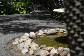 water from a fontain, some rocks, shadows and a unfocused trunk 