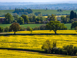 Cotswolds scenery and agricultural landscape England UK