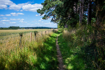 Obraz premium Cotswolds scenery and agricultural landscape England UK