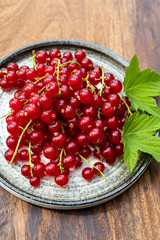 Ripe healthy antioxidant red currant berries