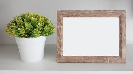 small tree in white pot with wood frame on white wood background