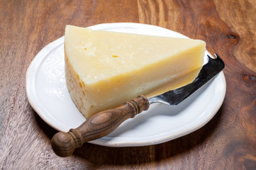 Italian cheese collection, matured pecorino romano hard cheese made from sheep melk