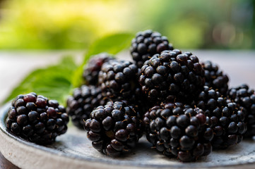 Ripe healthy antioxidant black currant or bramble berries