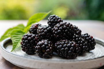 Ripe healthy antioxidant black currant or bramble berries
