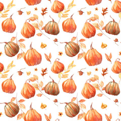 Watercolor pumpkins seamless pattern. Autumn wallpaper with hand painted  pumpkins and plants on white background