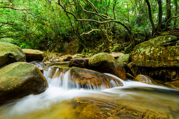 Obraz premium The stone under the waterfall, close-up as background. New Taipei, Taiwan.