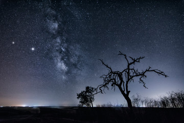 naturaleza muerta con via lactea