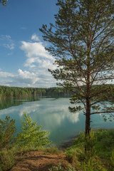 forest lake landscape. View of the blue lake forest
