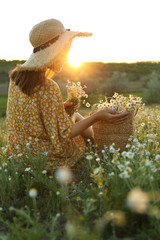 Woman with straw hat and handbag full of chamomiles resting in meadow
