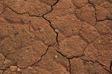 Cracked clay earth in a dry desert.