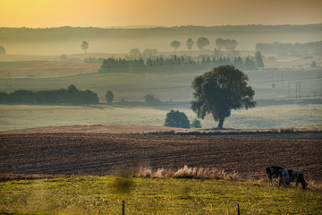 Wschód słońca © Stanisaw