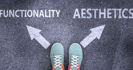 Functionality and aesthetics as different choices in life - pictured as words Functionality, aesthetics on a road to symbolize making decision and picking either one as an option, 3d illustration