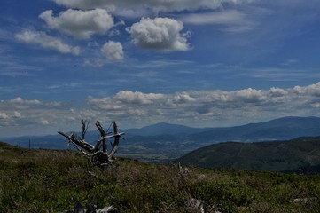 Fototapeta na wymiar Krajobraz górski z okolic szczytu Skrzyczne