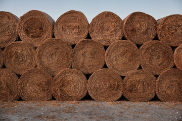 A lot of stacked hay roll bales.