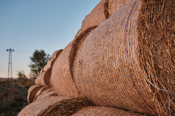 A lot of stacked hay roll bales.