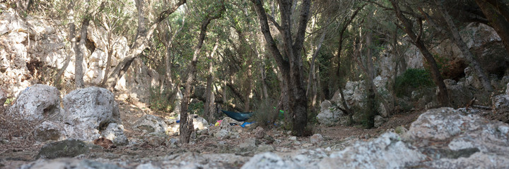 Overnight in the forest, travel, adventurism.