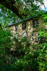 maison ancienne délabrée envahie par la végétation