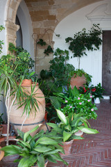 Decoration patio with green plants.