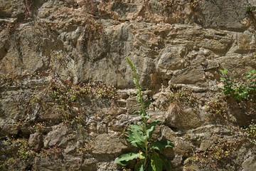 Artfully built walls with natural stone
