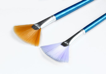 Two blue fan brushes isolated. Macro shot of two paintbrushes