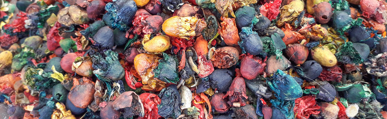 Riot of colors, flower meadow